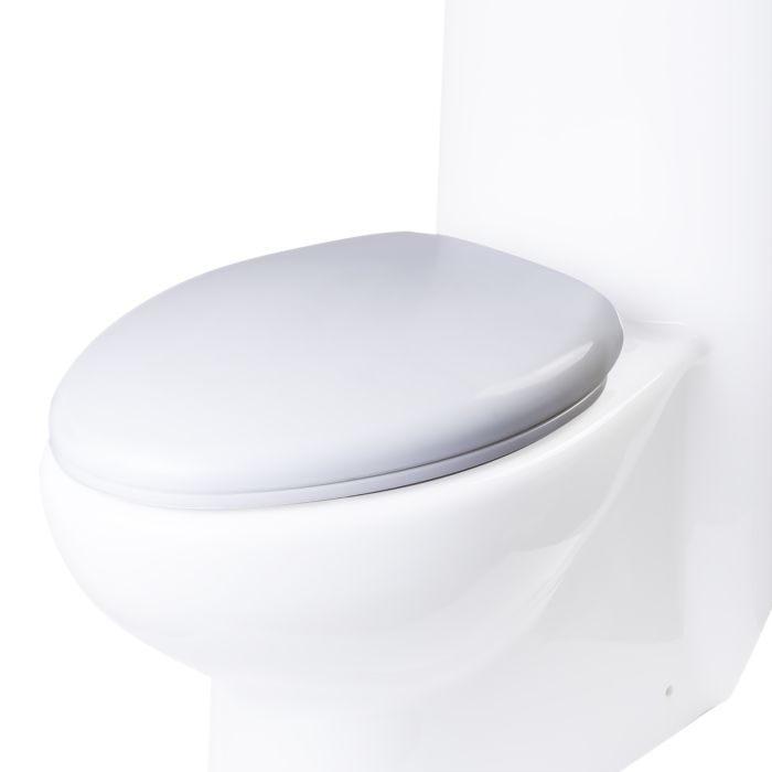  EAGO R-309LID Tapa de inodoro de cerámica de repuesto para  TB309, color blanco : Herramientas y Mejoras del Hogar